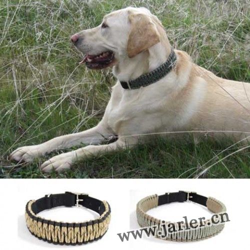 Paracord dog collar, 63A48